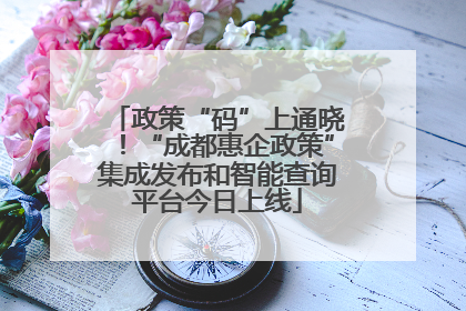 政策“码”上通晓！“成都惠企政策”集成发布和智能查询平台今日上线