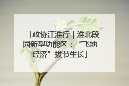 政协江淮行｜淮北段园新型功能区：“飞地经济”拔节生长