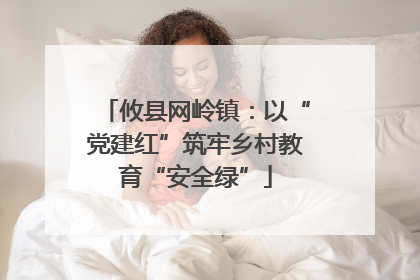 攸县网岭镇：以“党建红”筑牢乡村教育“安全绿”