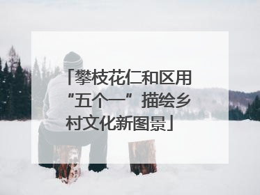 攀枝花仁和区用“五个一”描绘乡村文化新图景