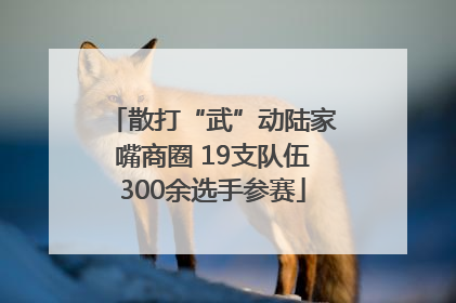 散打“武”动陆家嘴商圈 19支队伍300余选手参赛