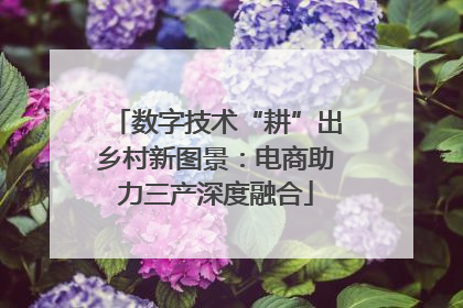 数字技术“耕”出乡村新图景：电商助力三产深度融合