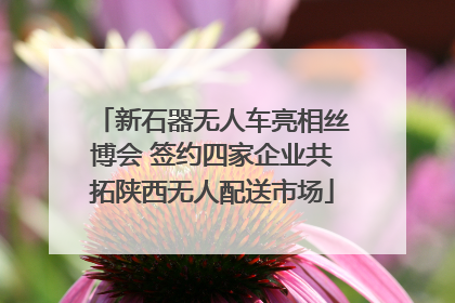 新石器无人车亮相丝博会 签约四家企业共拓陕西无人配送市场