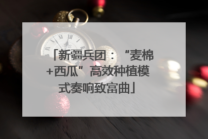 新疆兵团：“麦棉+西瓜”高效种植模式奏响致富曲