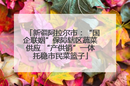 新疆阿拉尔市：“国企联姻”保障辖区蔬菜供应 “产供销”一体托稳市民菜篮子