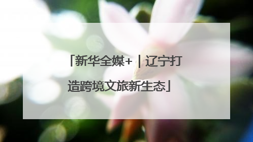 新华全媒+｜辽宁打造跨境文旅新生态
