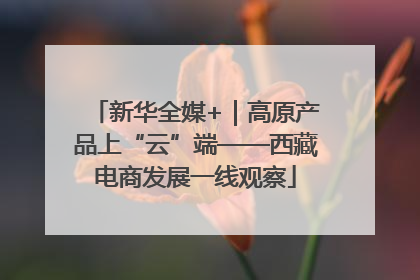 新华全媒+｜高原产品上“云”端——西藏电商发展一线观察