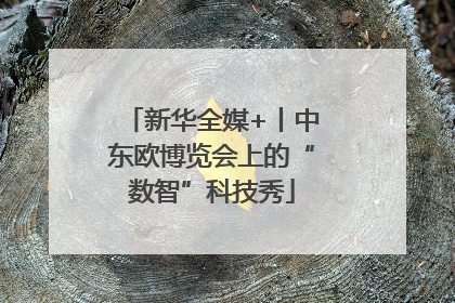 新华全媒+丨中东欧博览会上的“数智”科技秀