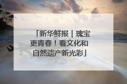 新华鲜报｜瑰宝更青春！看文化和自然遗产新光彩