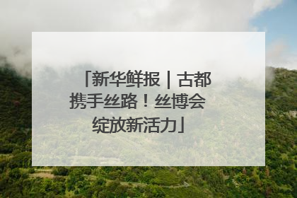 新华鲜报｜古都携手丝路！丝博会绽放新活力