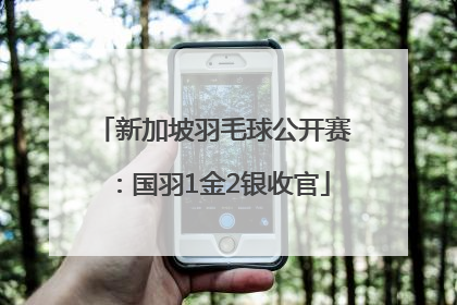 新加坡羽毛球公开赛：国羽1金2银收官