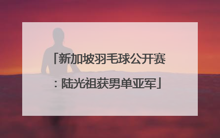 新加坡羽毛球公开赛：陆光祖获男单亚军