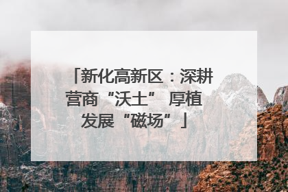 新化高新区：深耕营商“沃土” 厚植发展“磁场”