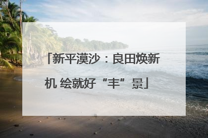 新平漠沙：良田焕新机 绘就好“丰”景