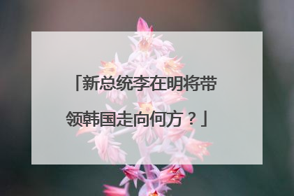 新总统李在明将带领韩国走向何方？