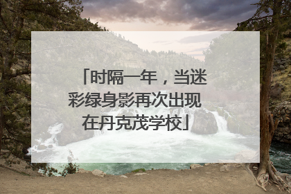 时隔一年，当迷彩绿身影再次出现在丹克茂学校
