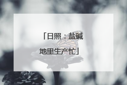 日照：盐碱地里生产忙