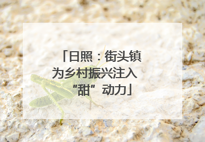 日照：街头镇为乡村振兴注入“甜”动力