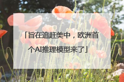 旨在追赶美中，欧洲首个AI推理模型来了