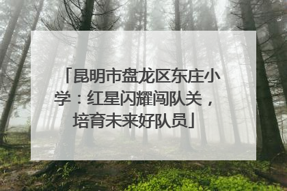 昆明市盘龙区东庄小学：红星闪耀闯队关，培育未来好队员
