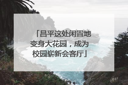 昌平这处闲置地变身大花园，成为校园崭新会客厅