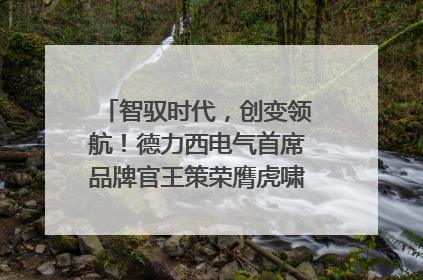 智驭时代，创变领航！德力西电气首席品牌官王策荣膺虎啸奖年度品牌人物