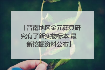晋南地区金元葬具研究有了新实物标本 最新挖掘资料公布