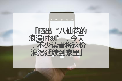 晒出“八仙花的浪漫时刻”，今天，不少读者将这份浪漫延续到家里