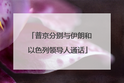 普京分别与伊朗和以色列领导人通话