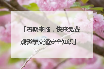 暑期来临，快来免费观影学交通安全知识