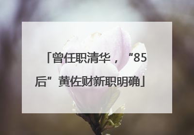 曾任职清华，“85后”黄佐财新职明确