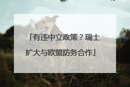 有违中立政策？瑞士扩大与欧盟防务合作