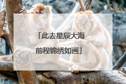 此去星辰大海 前程锦绣如画
