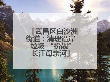 武昌区白沙洲街道：清理沿岸垃圾 “扮靓”长江母亲河