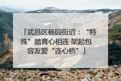 武昌区杨园街道：“特殊”踏青心相连 架起包容友爱“连心桥”