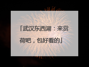 武汉东西湖：来赏荷吧，包好看的
