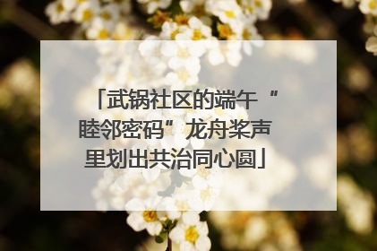 武锅社区的端午“睦邻密码”龙舟桨声里划出共治同心圆