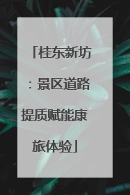 桂东新坊：景区道路提质赋能康旅体验