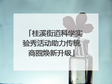 桂溪街道科学实验秀活动助力传统商圈焕新升级