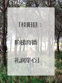 桂阳县：阶梯育德 礼润童心