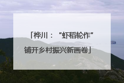 桦川：“虾稻轮作”铺开乡村振兴新画卷