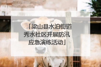梁山县水泊街道秀水社区开展防汛应急演练活动