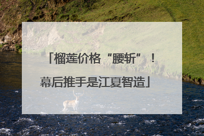 榴莲价格“腰斩”！幕后推手是江夏智造