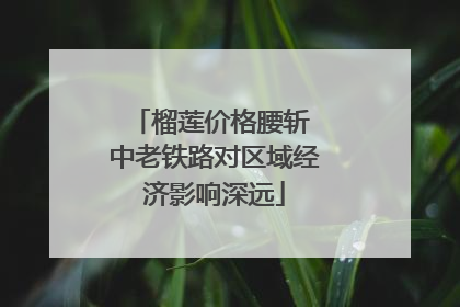 榴莲价格腰斩 中老铁路对区域经济影响深远