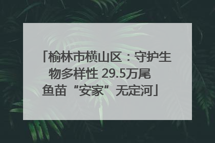 榆林市横山区：守护生物多样性 29.5万尾鱼苗“安家”无定河