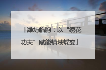 潍坊临朐：以“绣花功夫”赋能镇域蝶变