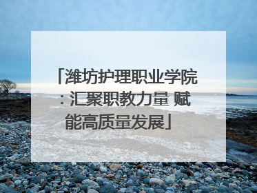 潍坊护理职业学院：汇聚职教力量 赋能高质量发展
