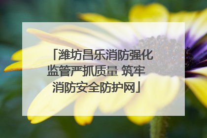 潍坊昌乐消防强化监管严抓质量 筑牢消防安全防护网