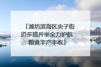 潍坊滨海区央子街道多措并举全力护航粮食丰产丰收