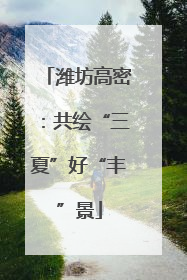 潍坊高密：共绘“三夏”好“丰”景